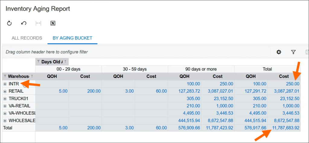 Acumatica Inventory Aging Report